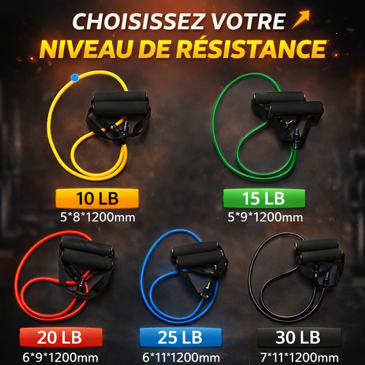 Bandes Élastiques de Résistance 5 Niveaux avec Poignées – Set Pull Rope Fitness pour Musculation, Yoga & Rééducation Maison